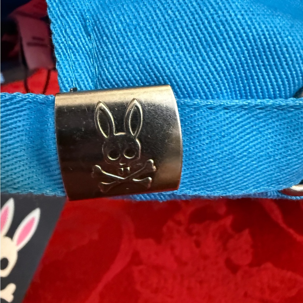Psycho Bunny Teal Men's Cap with Rainbow Bunny Skull Embroidery - Picture 4 of 5
